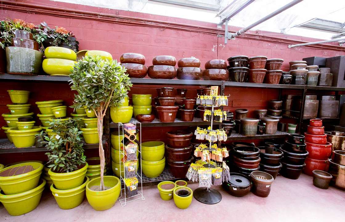 Colourful pots and containers