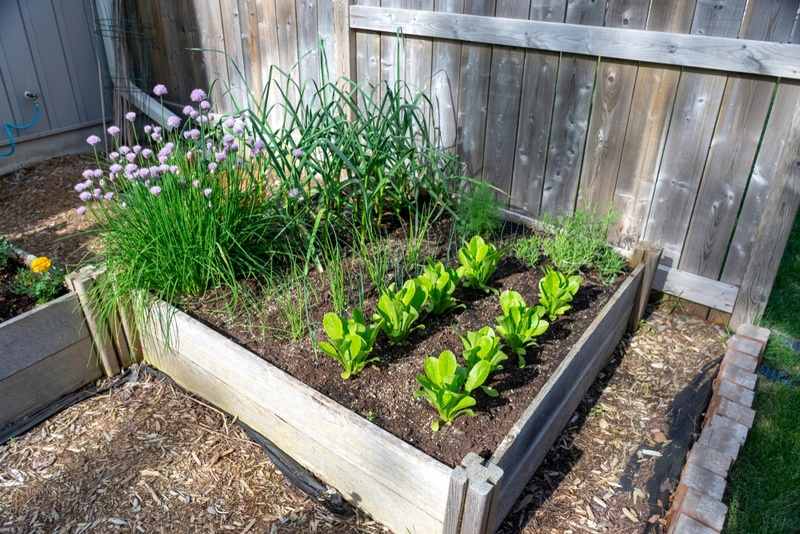 Square Foot Gardening