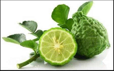 Thai Lime