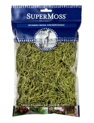 Preserved Spanish Moss