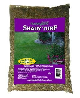 Nurseryland Shady Turf