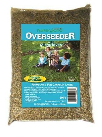 Nurseryland Overseeder + Microclover