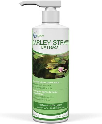 Barley Straw Extract - 473 Ml/16.0Oz