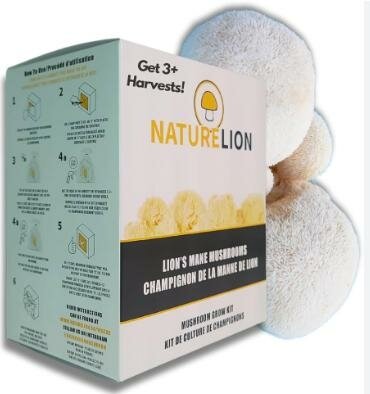 Lion's Mane Mushroom Kit