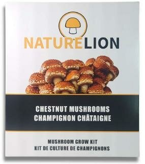 Chestnut Mushroom Kit