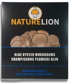 Blue Oyster Mushroom Kit