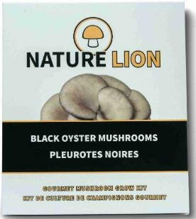 Black Oyster Mushroom Kit