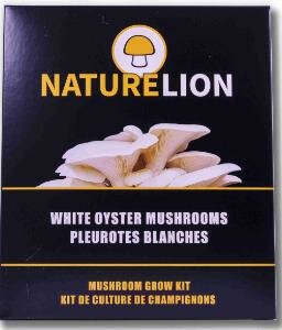 White Oyster Mushroom Kit