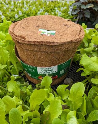 Nurseryland Coco Container Potting Mix