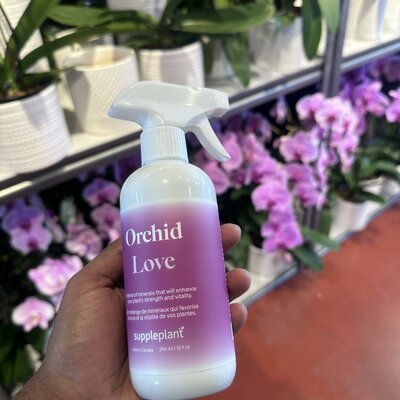 Orchid Love Food Spray