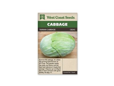 Taiwan Cabbage F1