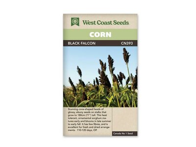 Black Falcon - Sorghum