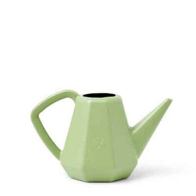 Watering can Doppio Smooth 2L old green